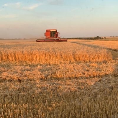 SummerYost's profile picture. 