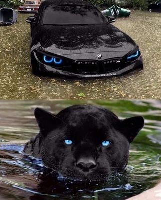 RahaimNaceredd1's profile picture. non