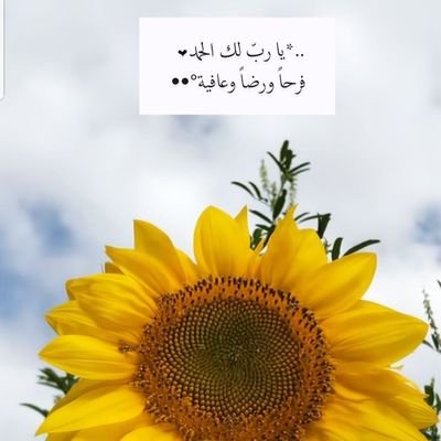 لا اعترف بالحيادية والعقلانية عندما يتعلق الامر بنادي النصر و الدون 💛 هذا الشخص من مؤسسي علم الصنددة بحب اول عالمي في اسيا
