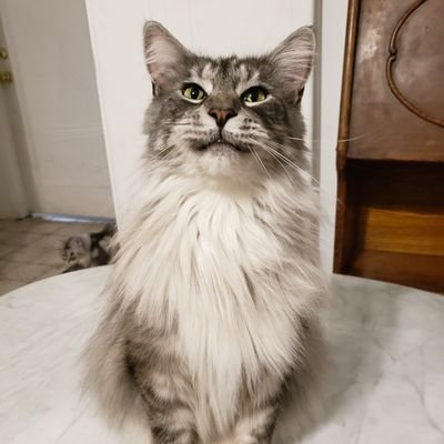 MarkHeld9's profile picture. 