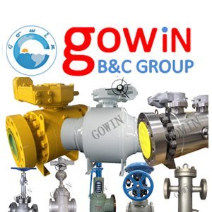 Welcome your visit and become our global partner.  #valves #ballvalves #gatevaves #butterflyvalves #checkvalves #globevaves #valve Email: sales@china-gowin.com