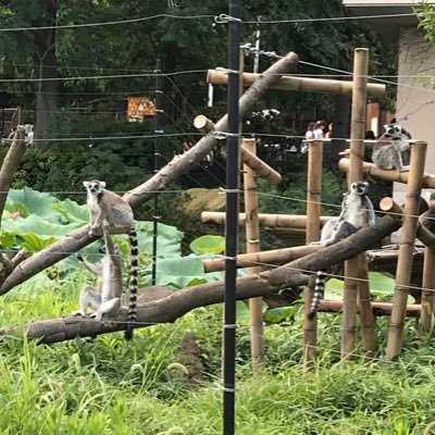 唄を作ってうたう。 ピアノ弾き語りすと。第12回とよはし音楽祭最優秀演奏賞、第15回とよはし音楽祭金賞いただきました。最近好きなこと:プロレス観戦、手帳ノート文房具、かわいいもの。(音楽はライフワーク、といいたい。最近じゃなくてずっと好きだから)