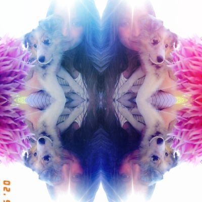 Serievore, cinéphile et accroc aux manganimes.
Lectrice de BL avec trois chiens et un chat!
Faible face aux débats enflammés
( collab @mangadon_FR)