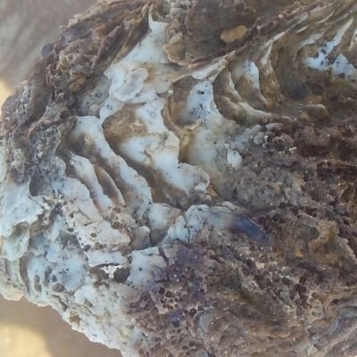 marios_jj's profile picture. hardwork