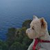 En Carolus (@encarolus) Twitter profile photo En Carolus (@encarolus) Twitter profile photo