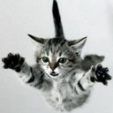 Donald Gallimore - @kingofwigflip - Twitter