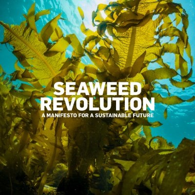Group for Sustainable Seaweed Future!
