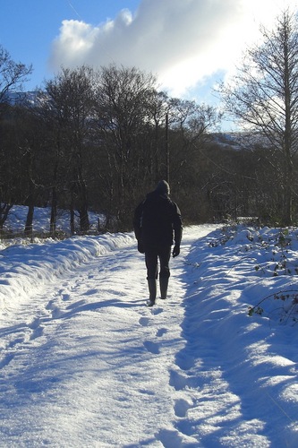 stronafian's profile picture. 