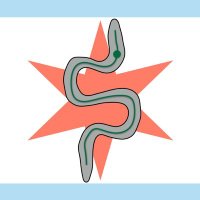 Dan Shaye 🐜 🇻🇪🇺🇸 (@shayelabuic) 's Twitter Profile Photo Dan Shaye 🐜 🇻🇪🇺🇸 (@shayelabuic) 's Twitter Profile Photo