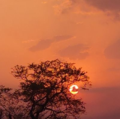 ajaysinghyt's profile picture. 