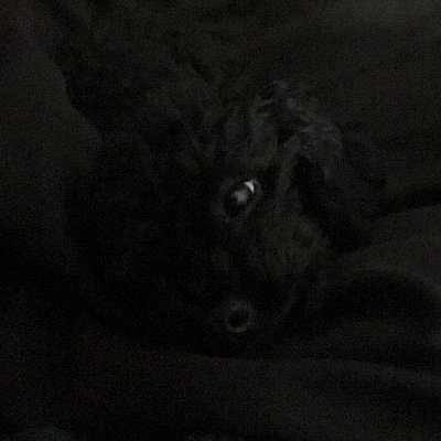 notkilbrai's profile picture. 