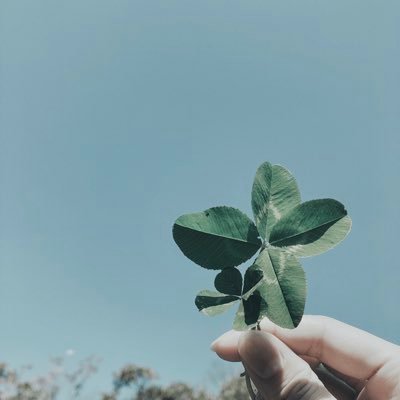 87788's profile picture. 趣味垢です！🦖さん推しです！ 同担様◎ 他担様◎ 他界隈様◎ \ 箱推し📦全員フォロバ◎