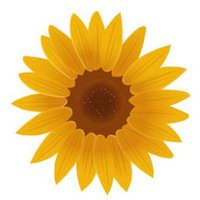 O'Driscoll&Daughters (@geodfunerals) 's Twitter Profile