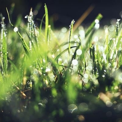 xccsxbx's profile picture. 偶尔外向。偶尔点赞狂魔。佛系回复。随缘转推。