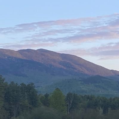 CrazyDG3's profile picture. 