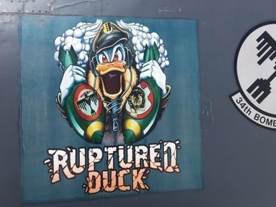 scotty2u2now's profile picture. highly charged and high up