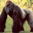 Matt Bower - @THE_KINGEMPEROR - Twitter