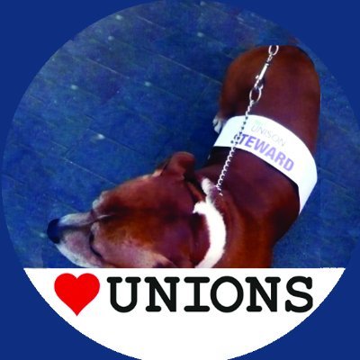 De Montfort University UNISON Branch. Occasional news and views from the branch activists. Not the views of the University!