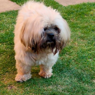 ClaireNew04's profile picture. Wife, proud mother, music postgraduate, former CS Manager, taking each day as it comes.