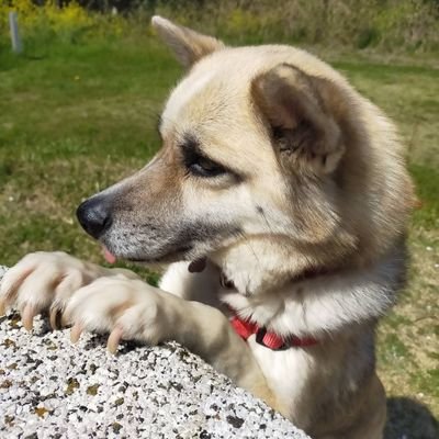 子供らが夜更かしするばかりで困る!と敬遠してたけど、Twitter勉強なるー
⇒⇒
これまで作品やメディアの向こう側だった遠い方々を、身近に感じられる素晴らしさ。有り難し。