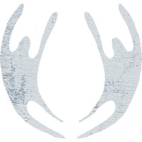 Weird World (@weirdworldrecs) 's Twitter Profile