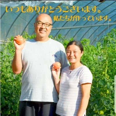 岩手県一関市大東町でトマト🍅栽培しています。