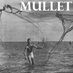 𝙼𝚞𝚕𝚕𝚎𝚝𝙵𝚊𝚛𝚖 (@mulletfarm) Twitter profile photo 𝙼𝚞𝚕𝚕𝚎𝚝𝙵𝚊𝚛𝚖 (@mulletfarm) Twitter profile photo