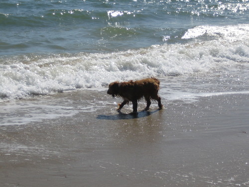 Smartieds's profile picture. 