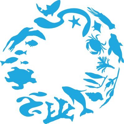 claireinwessex's profile picture. Volunteer development manager, part-time mermaid & wannabe raw foodie #charity #volunteer #nonprofits #goodstuff #somethingbrilliant