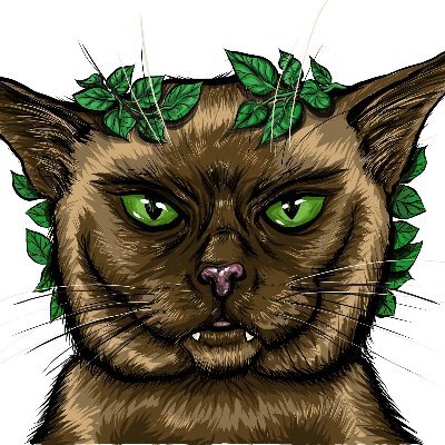 It was like that when I got here! Semi-professional human, amateur gamer.
You can also check out TheEmperorsCat on YouTube and @TheEmperorsCat on Facebook.