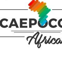 Center for Applied Ethics & Political Com. Africa(@caepocom_africa) 's Twitter Profile Photo