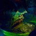Destiny of Dragons (@destinyofdragon) Twitter profile photo Destiny of Dragons (@destinyofdragon) Twitter profile photo