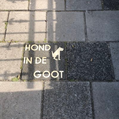 Frau_Z_reist's profile picture. Ich mag das Nachdenken. Ganz in Ruhe, so ohne Hast und Vorsatz. Ich schau mir gerne Neues an und liebe es, überrascht zu werden. Ich bin Fan von Alternativen