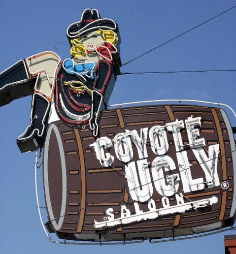 Coyote Ugly Saloon, the most famous bar on the planet! Our bartenders serve a bit of attitude with the drinks & are known for their dance routines on the bar.