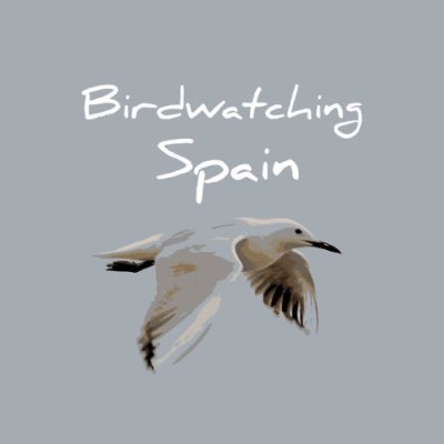 Birdwatching Spain organizes day trips and fixed-date tours for just one person or small groups to the most interesting birding and butterfly spots in Spain