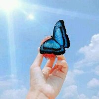 better life (@amgainhari) 's Twitter Profile