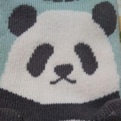 ( ˙o˙ )みなみだよ！