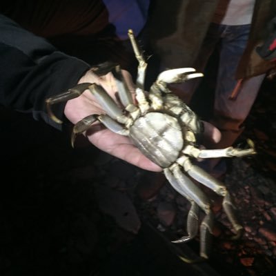 YhymAUHCZ8ZMXGL's profile picture. 