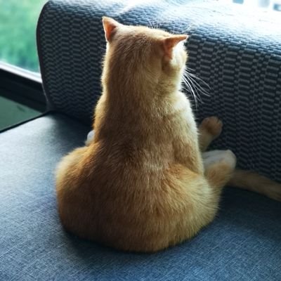 aliffaziz - Twitter Search / Twitter