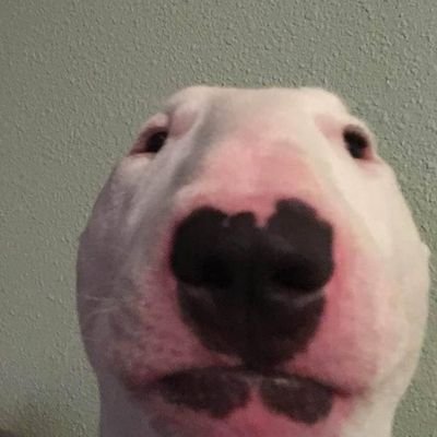 Alessan08411474's profile picture. 𝙷𝚎𝚕𝚕𝚘