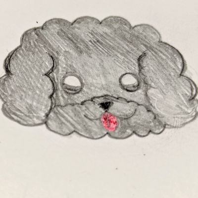 yuki8062さんのプロフィール画像