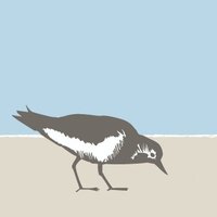 Turnstone Genealogy (@turnstonegenie) 's Twitter Profile Photo Turnstone Genealogy (@turnstonegenie) 's Twitter Profile Photo