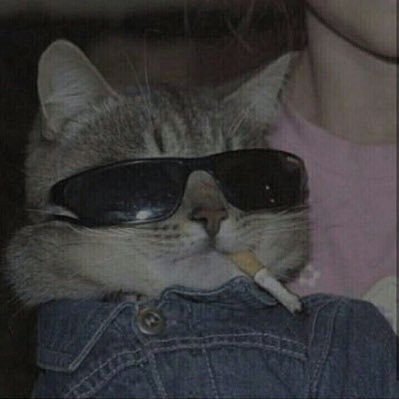 io7rn1's profile picture. 