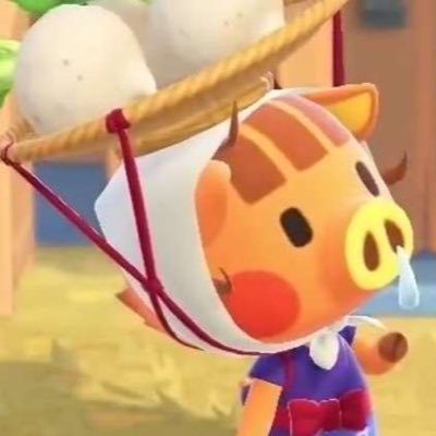 Temporary account for people to visit and sell turnips for 570 bells. Dm me 🤩