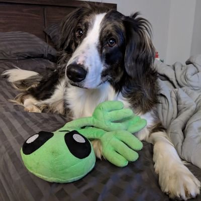 HanKenLey_'s profile picture. Cybersecurity Analyst | Vulnerability Enthusiast | Security+ CE
*This is the way*

Thoughts and opinions are my own and not tied to my employer.