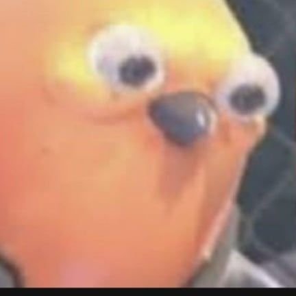 TostJam's profile picture. I like bread