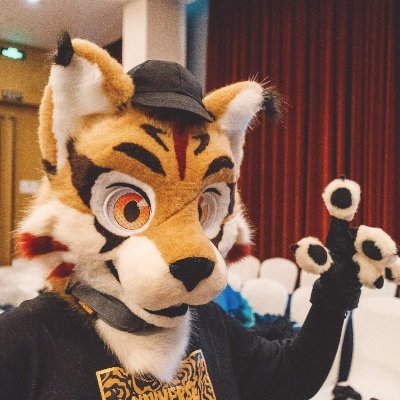 Fursuit maker from China
