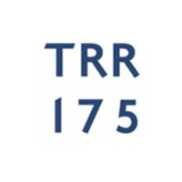 TRR175 (@sfb_tr175) 's Twitter Profile