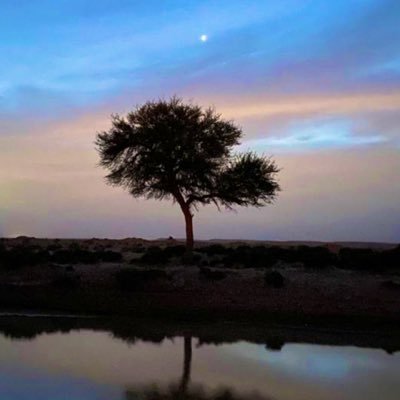 M29753922's profile picture. إعلام وصحافة دولية