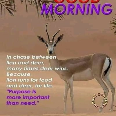 PMerimer's profile picture. Born 06/10/1972, a Roman Catholic believer